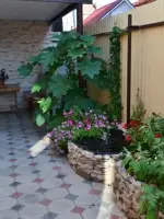 Гостевой дом «Вера»