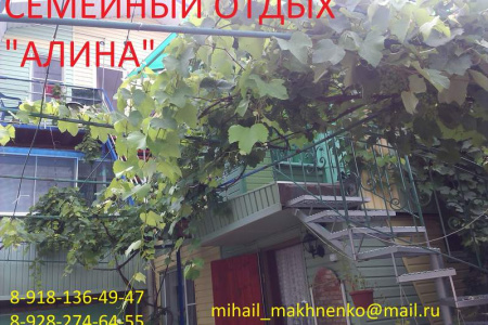 Частный дом «Алина»